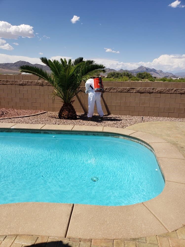 An All In Pest Solutions technician treating the perimeter of a Pahrump back yard beside a pool